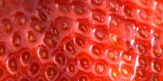 texture d'une fraise zoomée pour faire référence à l'aspect de la peau sujette à la kératose pilaire : rugeuse, seche, petits boutons.