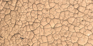 Sécheresses cutanées : tout comprendre sur la peau sèche à très sèche