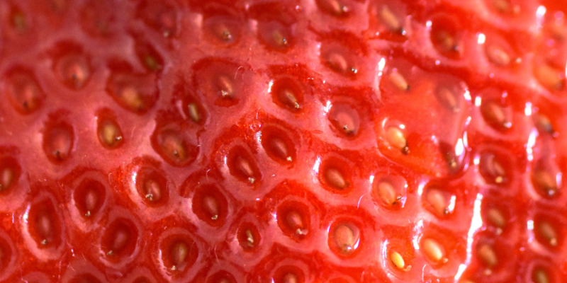 texture d'une fraise zoomée pour faire référence à l'aspect de la peau sujette à la kératose pilaire : rugeuse, seche, petits boutons.